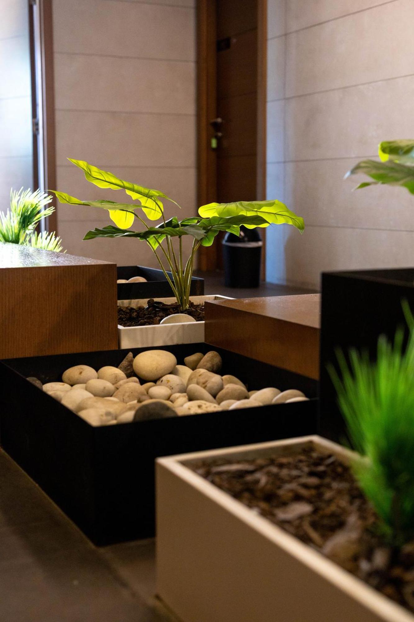 Mateus Hotel & Pool 朱尼耶 外观 照片
